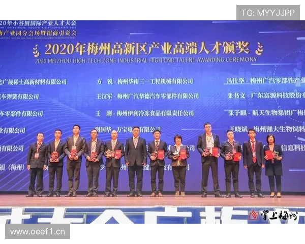 肇庆企业家：创新与传承并行 引领地方经济高质量发展新篇章