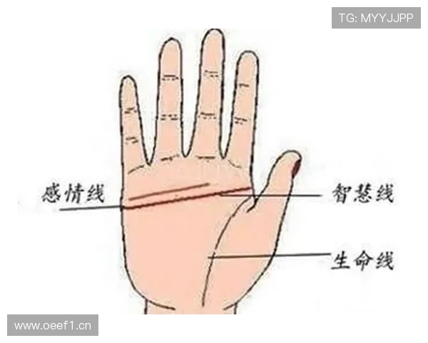 巨蟹座企业家如何凭借敏锐洞察力与情感智慧打造成功事业