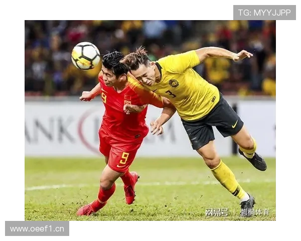 网易体育深度解析中国足球未来发展趋势